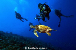 nikon d2x 12-24mm by Puddu Massimo 
